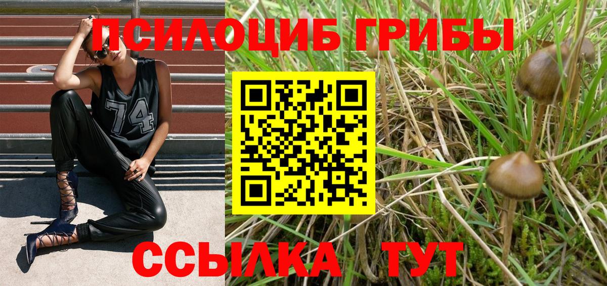 Псилоцибиновые грибы мицелий Павлово