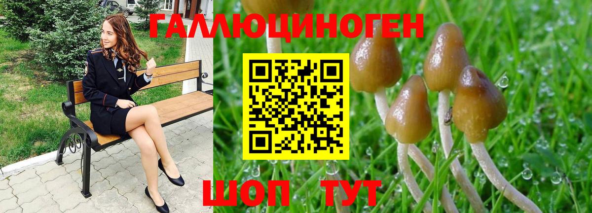 Павлово  Галлюциногенные грибы MAGIC MUSHROOMS  Вход с VPN 