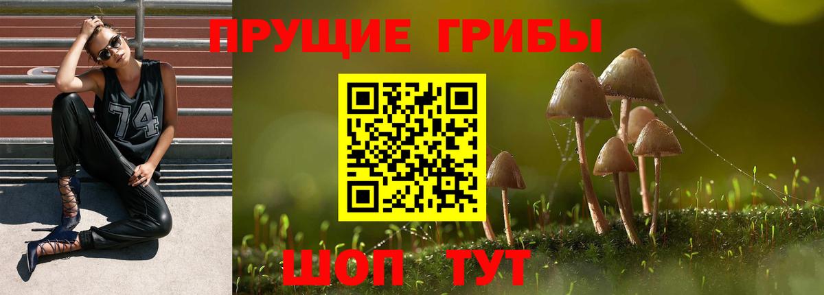 ГАШИШ Павлово